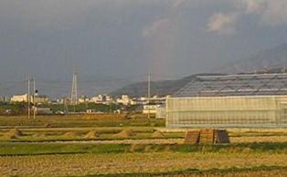 d0090001_11405135.jpg