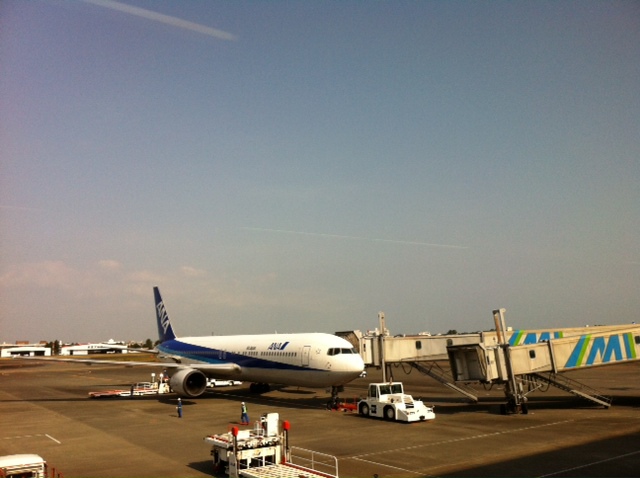 宮崎空港なう。_c0058609_11475756.jpg