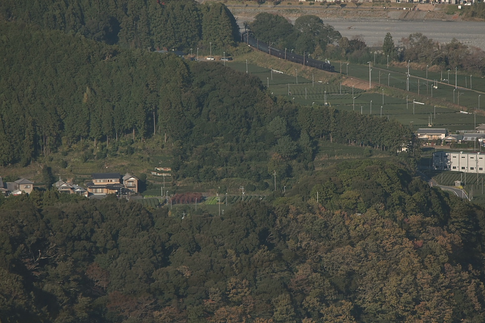 高みから茶畑の中を走る汽車を - 2011年秋・大井川 -_b0190710_234254.jpg