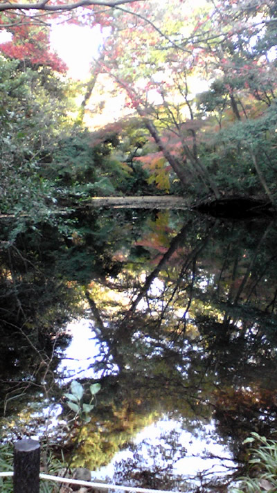 f0105810_21345886.jpg
