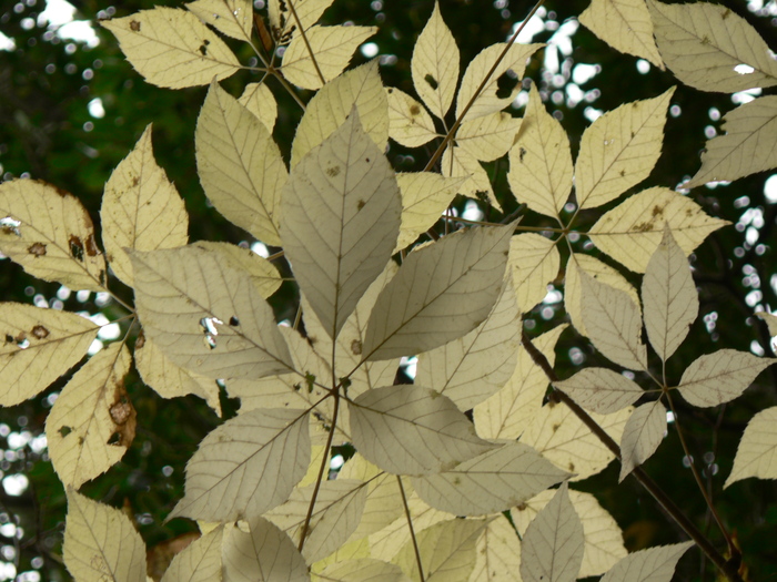 f0219710_7493715.jpg