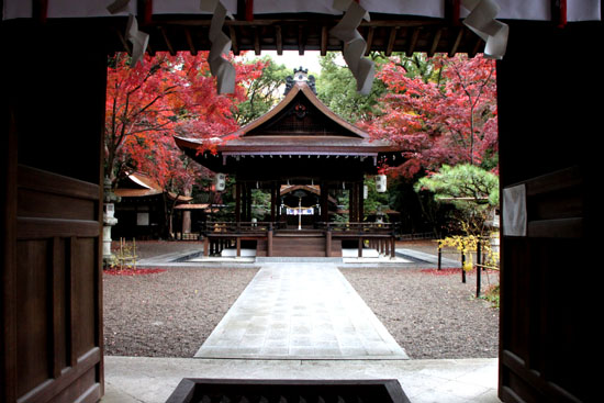 梨の木神社 紅葉後半の輝き_e0048413_19321348.jpg