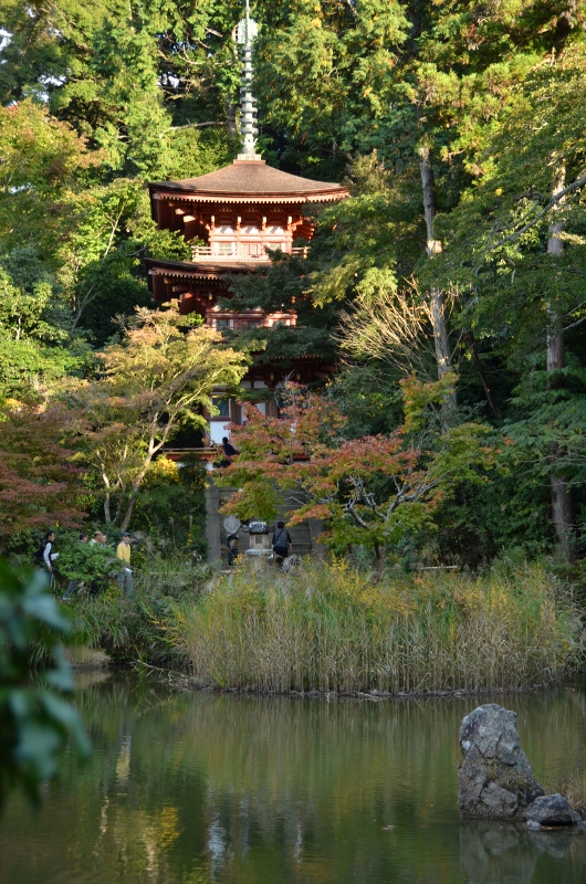 奈良、岩船寺と浄瑠璃寺の秋_c0184716_0441113.jpg