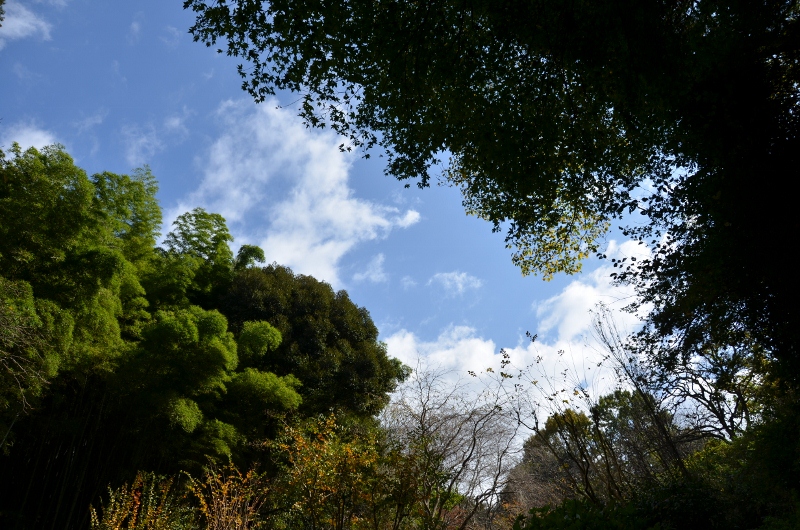 奈良、岩船寺と浄瑠璃寺の秋_c0184716_0629.jpg