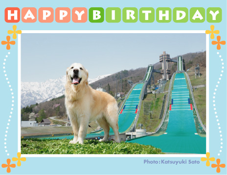 ロッキーくん、お誕生日おめでとう♪_d0102523_8145875.jpg