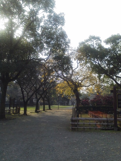 a0044024_1804319.jpg