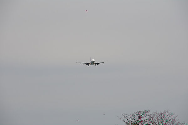 f0007926_21351810.jpg