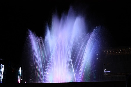 f0054428_162639.jpg