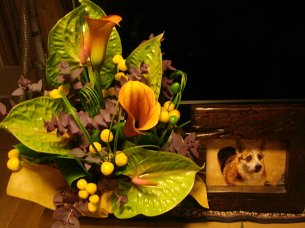 e0001531_03281.jpg