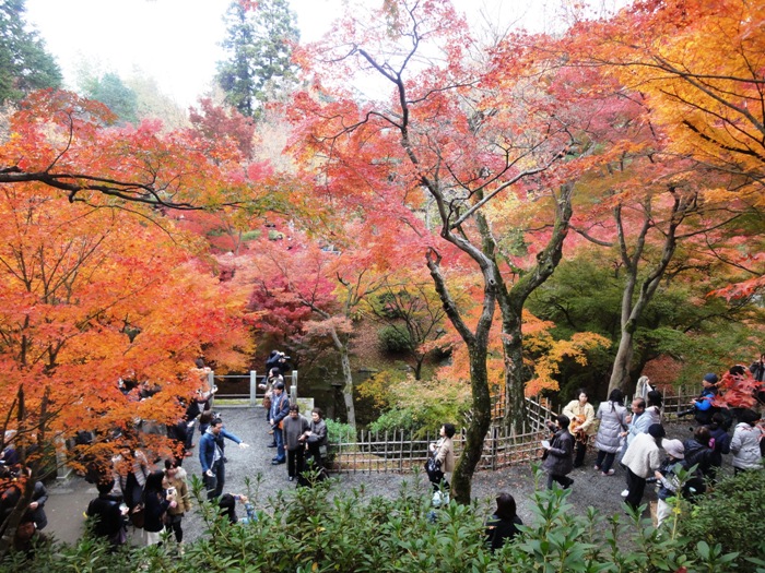 古都に紅葉を訪ね　　③　　東福寺　　　　　三上博康_b0012636_10561923.jpg