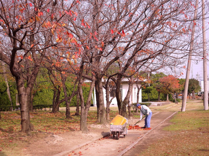 12.6　晩秋の公園にて_d0241937_1575234.jpg