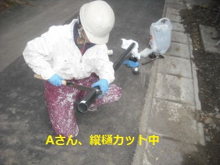 8日目の作業_f0031037_22505553.jpg