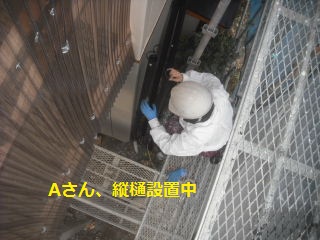 8日目の作業_f0031037_22511599.jpg