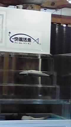a0177738_13648.jpg