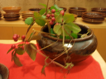 郡司庸久・慶子展のお知らせ_b0132442_18542824.jpg