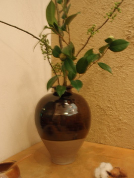 郡司庸久・慶子展のお知らせ_b0132442_19333854.jpg