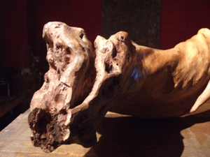 b0186148_2352021.gif