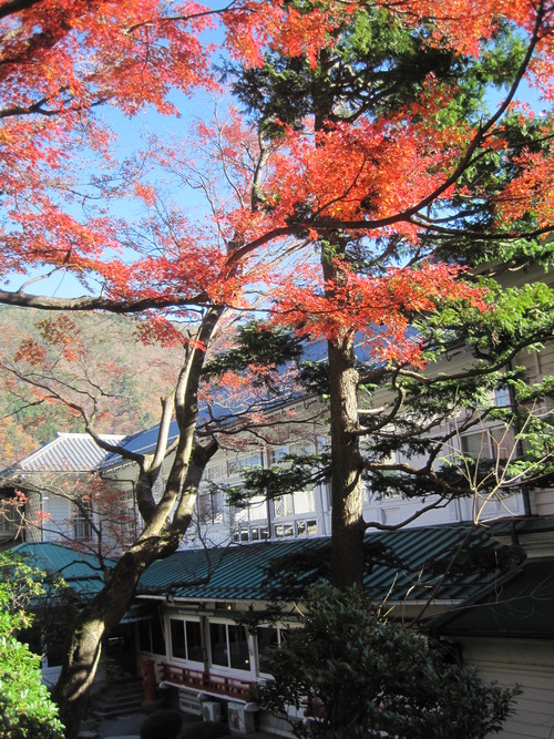 富士屋ホテル　　神奈川　箱根町_e0201648_754348.jpg