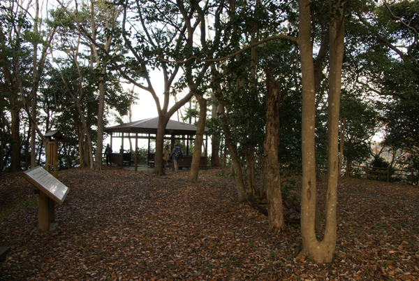 f0214649_61122.jpg