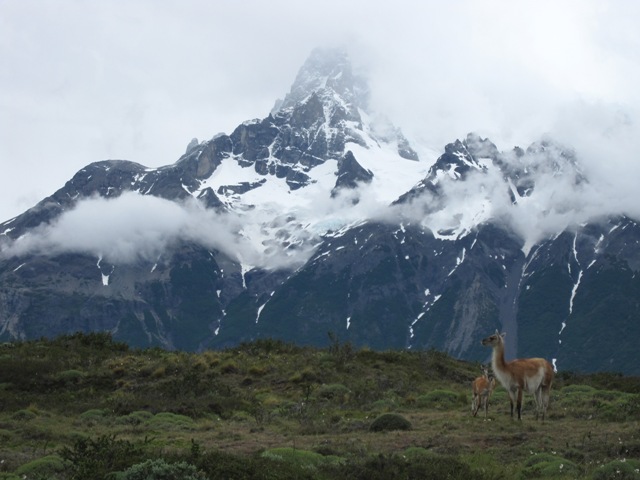 Patagoniaへの旅③～Torres del Paine～_b0168151_9385760.jpg