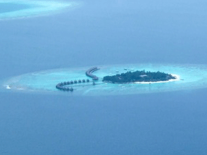 f0190653_19325047.gif