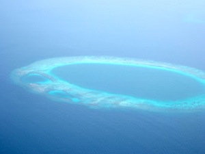 f0190653_19325512.jpg