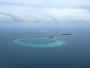 f0190653_1933144.jpg