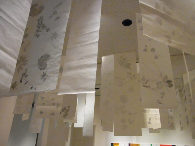 c0171862_22552791.jpg