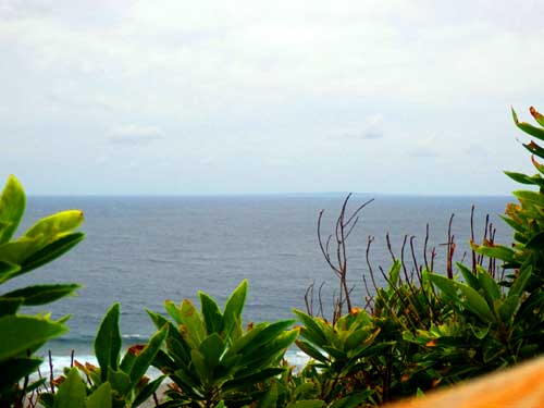 b0101263_13441620.jpg