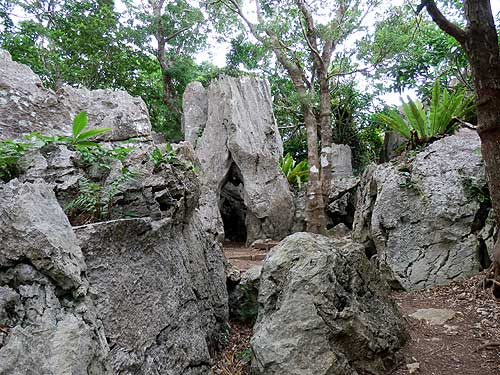 b0101263_14123582.jpg