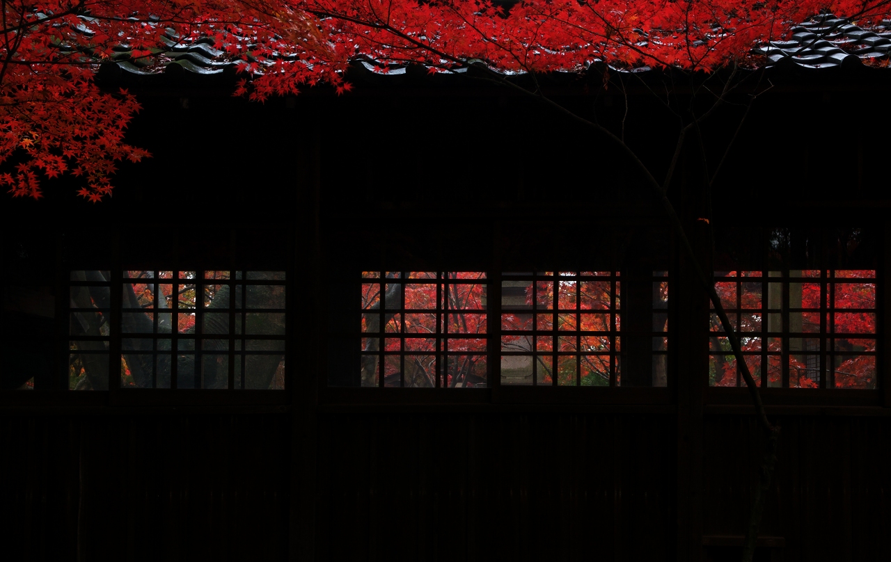 秋雨の本土寺　２_f0018464_2125687.jpg