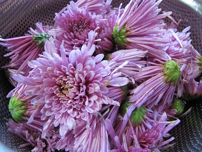 b0183566_9192297.jpg