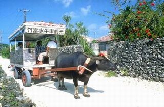 平成２３年度『道の駅』駅長会議 in OKINAWA_f0232468_929178.jpg