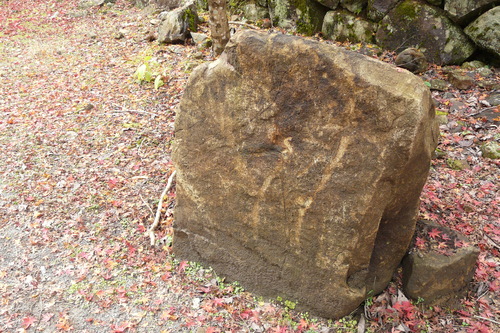c0205169_8124892.jpg