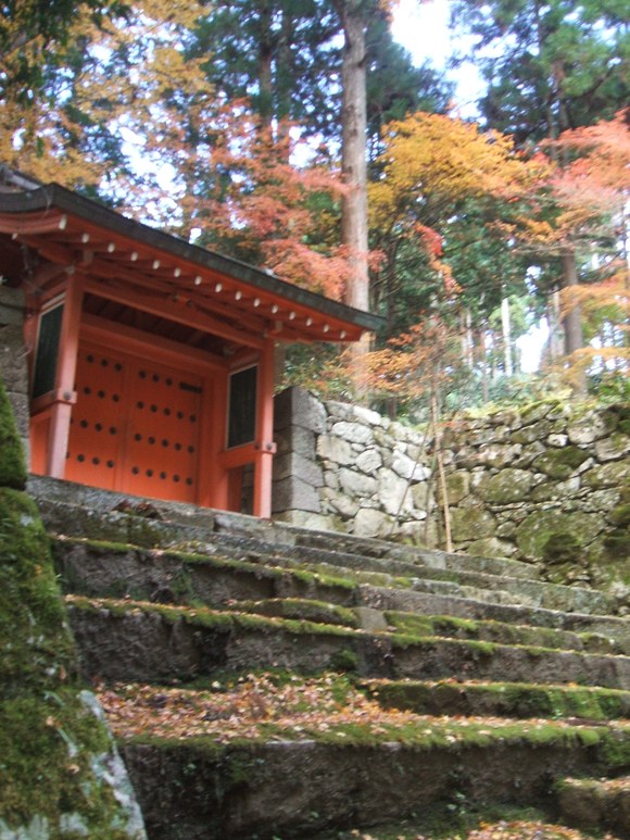 京都　大原三千院_f0047576_14564896.jpg