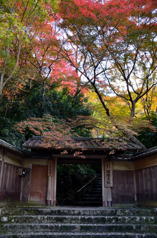 ≪紅葉の京都・洛北　Ⅱ≫_f0108478_10192280.jpg