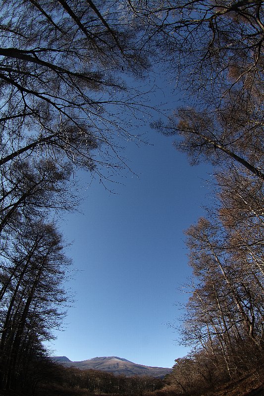 a0035279_8234544.jpg