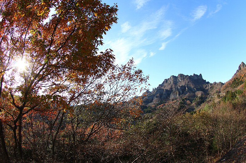 a0035279_8274540.jpg