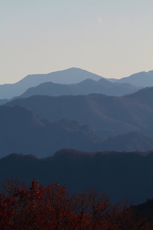 a0035279_828620.jpg