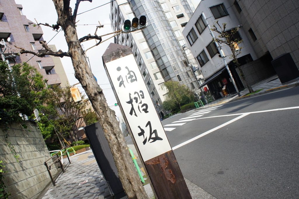 帰国日記@ベルリンVol.11アンペルマンオクテット東京本番の日。_c0180686_1955468.jpg