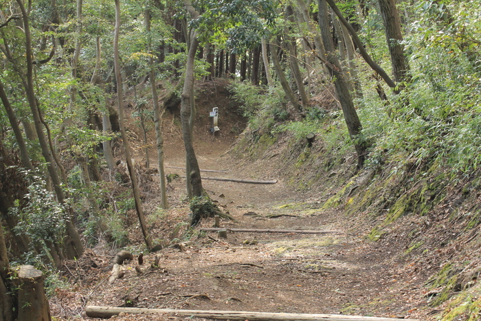 白山・順礼峠～木漏れ日の森歩き　最終章～ながめの丘より・・・_e0195587_19365740.jpg