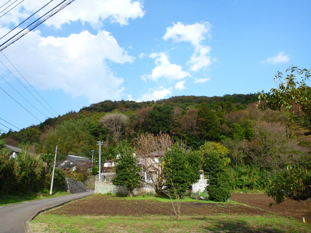 白山・順礼峠～木漏れ日の森歩き　最終章～ながめの丘より・・・_e0195587_19434218.jpg