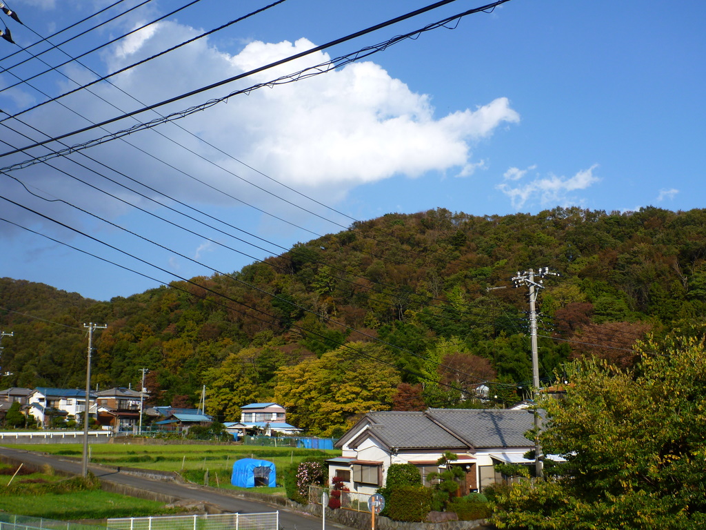 白山・順礼峠～木漏れ日の森歩き　最終章～ながめの丘より・・・_e0195587_19442355.jpg