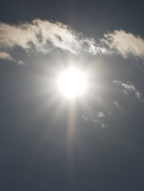 c0204088_6354431.jpg