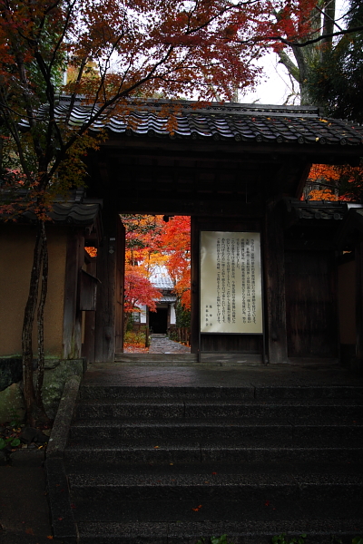 蓮華寺_e0051888_1453552.jpg