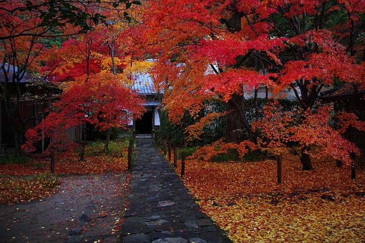 蓮華寺_e0051888_1454852.jpg