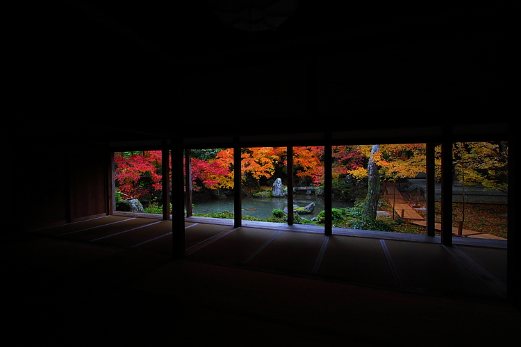蓮華寺_e0051888_1455891.jpg