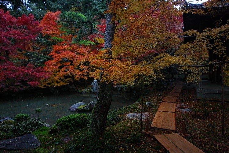 蓮華寺_e0051888_1462211.jpg