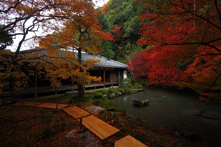 蓮華寺_e0051888_146429.jpg