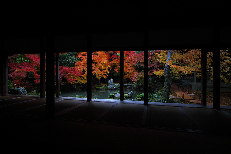 蓮華寺_e0051888_1474496.jpg
